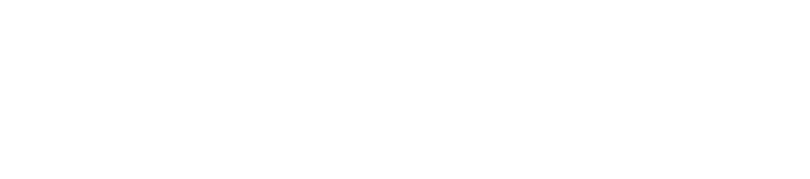 Zones Logo White PNG